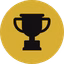 achievement-icon trophy icon