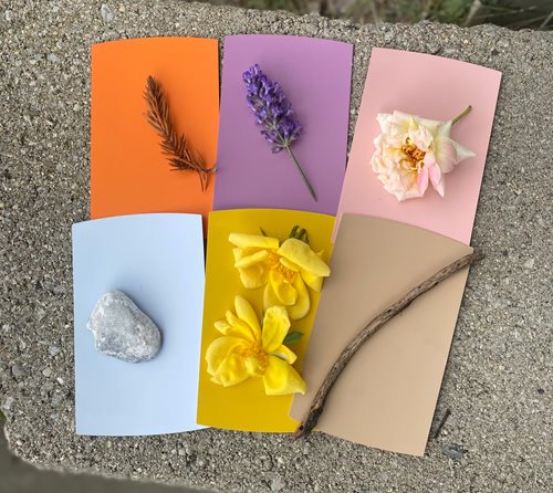 Group of color swatches with color matched flowers and leaves laying on top of paint swatches.